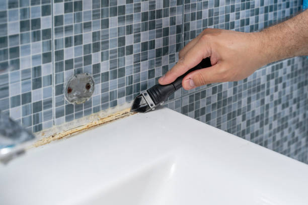 Best Office Mold Removal Services  in Middleburg, FL